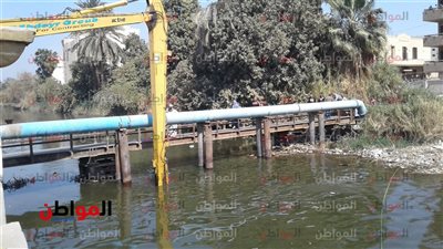 إزالة الحشائش والجثث أسفل كوبري مديرية صحة بني سويف ..استجابة لـ «المواطن»