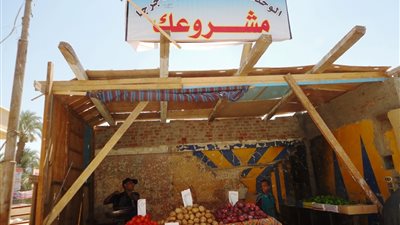 «مبادرة مشروعك» بسوهاج توفر 23 ألف فرصة عمل بتكلفة مليار جنيه