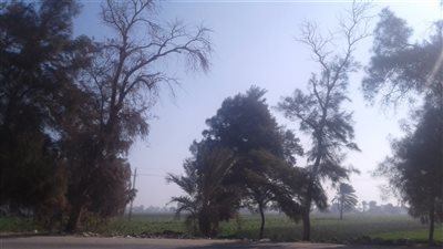 تعرف على أحوال الطقس ببني سويف اليوم الأربعاء 13 مارس 