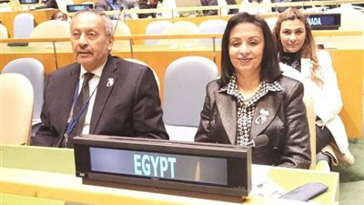 مايا مرسي في لجنة الأمم المتحدة: تمثيل المرأة في الحكومة المصرية 25%