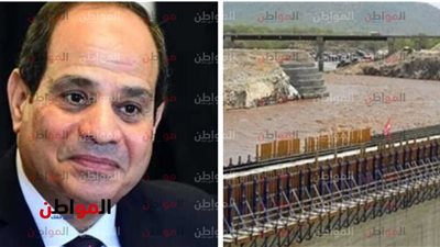 كيف تنظر إسرائيل لمصر بعد رئاستها للاتحاد الإفريقي