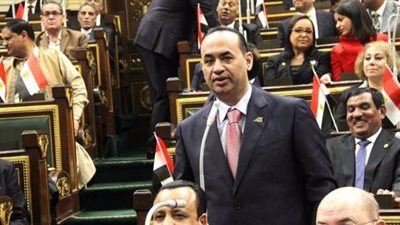 نائب: ملتقى الشباب الإفريقي والعربي 2019 خطوة مصر للريادة