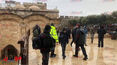 صور| الاحتلال الإسرائيلي ينفذ حملة اعتقالات بالضفة وغزة 