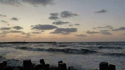 حالة الطقس بكفر الشيخ: سقوط أمطار خفيفة