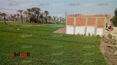 حالة الطقس اليوم الجمعة في الفيوم.. دفء في جميع المناطق