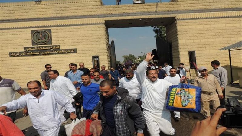  لجان قطاع مصلحة
