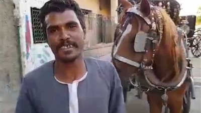 فيديو| سائق حنطور في أسوان:«عايزين للرئيس كل خير علشان اهتمامه بينا»