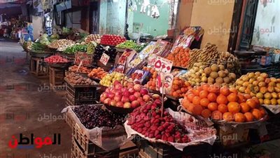 صور| قبل ملتقى الشباب العربي والإفريقي 2019.. جولة في سوق أسوان