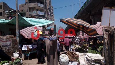 صور| أسعار الخضراوات والفاكهة بـ محافظة الشرقية