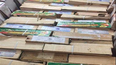 ضبط 500 كيلو رنجة غير صالحة للاستهلاك بالبحيرة