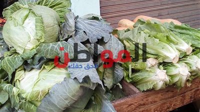 صور| أسعار الخضراوات والفاكهة بأسواق القليوبية اليوم السبت
