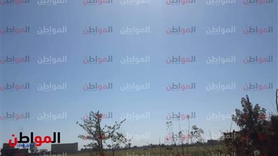 صور| حالة الطقس اليوم بالمنوفية: جو مشمس ورياح باردة خفيفة