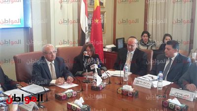 مستشار الجامعة البريطانية للعلاقات الخارجية: مصر دولة محورية