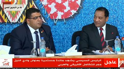 عضو تنسيقية لجنة الأحزاب: مصر أمامها العديد من التحديات حول التكامل