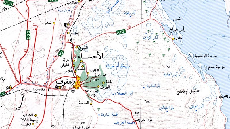 المواطن