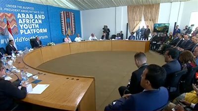 تحليل| في مائدة مستديرة جمعت القارة.. مصر تستعيد إفريقيا