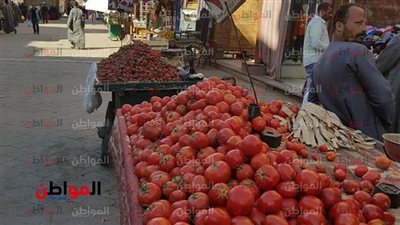 أسعار الخضروات اليوم الثلاثاء 19 مارس 2019 في سوق العبور