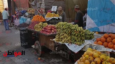 أسعار الفاكهة اليوم الثلاثاء 19 مارس في سوق العبور