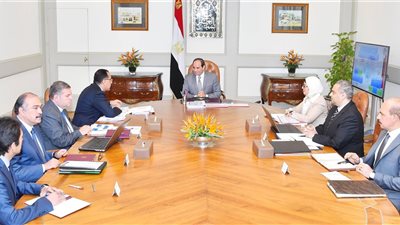عاجل| الرئيس السيسي يوجه بالانتهاء من حوكمة أداء شركات الأدوية