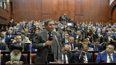 فيديو| ممثل الأزهر عن التعديلات الدستورية: ندعم مبدأ الشورى