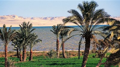 حالة الطقس اليوم الجمعة بالفيوم.. ارتفاع بسيط في درجات الحرارة
