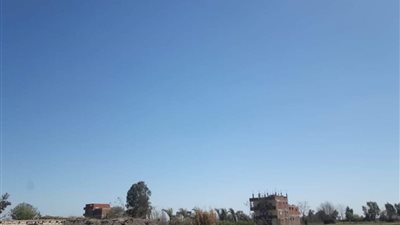 صور| حالة الطقس بالمنوفية: جو مشمس وارتفاع في درجات الحرارة