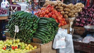 تعرف علي أسعار الخضراوات والفاكهة بمحافظة المنوفية