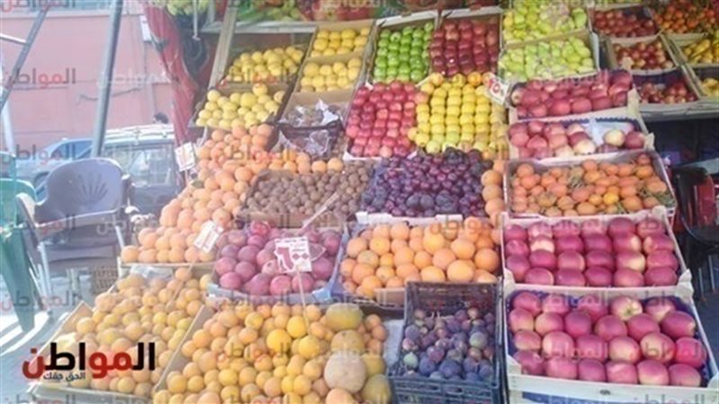  أسعار الخضروات اليوم