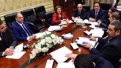 حقوق الإنسان بالبرلمان| أبرز الأجندات المطروحة خلال الأسبوع الجاري