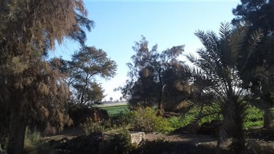 تعرف على حالة الطقس اليوم الأحد ببني سويف 