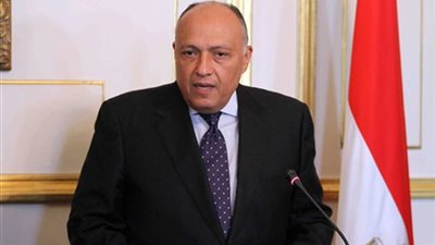 تفاصيل لقاء وزير الخارجية ونظيره السويسري 