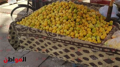 أسعار الخضروات اليوم الأحد 24 مارس في سوق العبور 