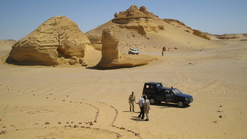 وادي الحيتان 