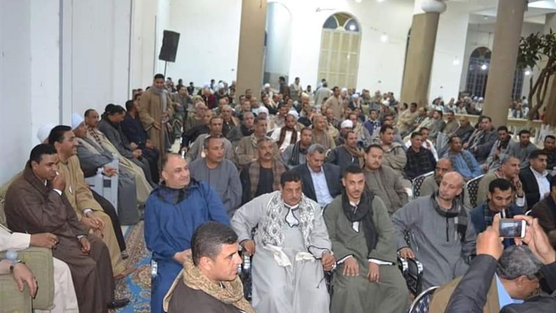 حزب مستقبل وطن-التعديلات