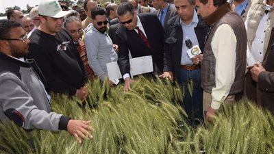 محافظ بني سويف ووزير الزراعة يتفقدان محطة بحوث سدس الزراعية