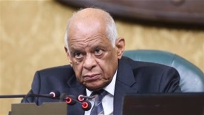 «مجلس النواب» يتعهد بتحسين معاشات العاملين بالشرطة