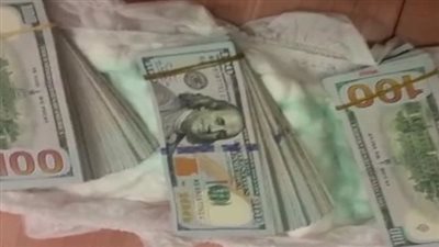 إحباط تهريب 30 ألف دولار بالمخالفة للقانون بميناء القاهرة