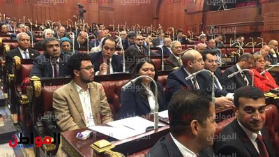 صور| تنسيقية شباب الأحزاب في الحوار المجتمعي لـ التعديلات الدستورية 2019