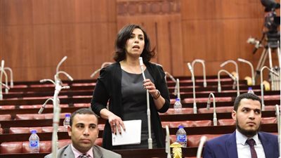 سها سعيد لـ «بوابة المواطن»: نجاح الحوار المجتمعي يرجع إلى علي عبدالعال