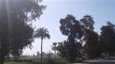 حالة الطقس اليوم الخميس 28 مارس 2019 ببني سويف