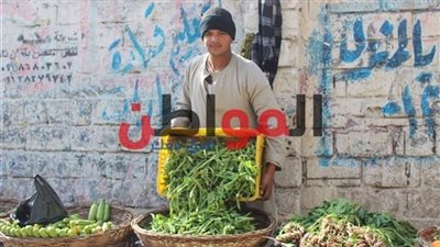 استقرار أسعار الخضروات الفاكهة بالإسكندرية اليوم 29 مارس 2019