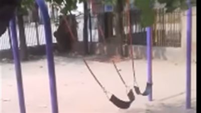 بسبب«مرجيحة الموت» إيقاف مدير مدرسة وآخرين عن العمل بالغربية