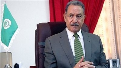 مساعد وزير الخارجية الأسبق: القضية الفلسطينية تحتاج إلى التضامن