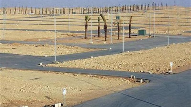 محاربة المتاجرة 