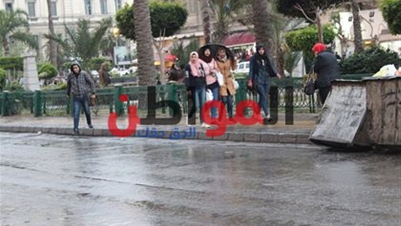 محافظة الإسكندرية
