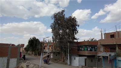 حالة الطقس اليوم السبت.. والأرصاد الجوية تحذر