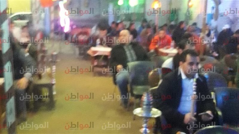 مقاهي المنوفية