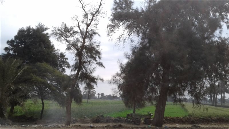 حالة الطقس اليوم
