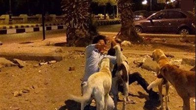 فيديوهات جنسية.. كلاب الزوج أودت بحياة العشيق للهلاك