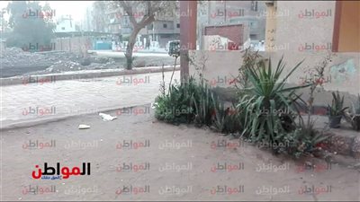 صور| «خلي بالك».. حالة الطقس اليوم في المنوفية معتدل مائل للبرودة